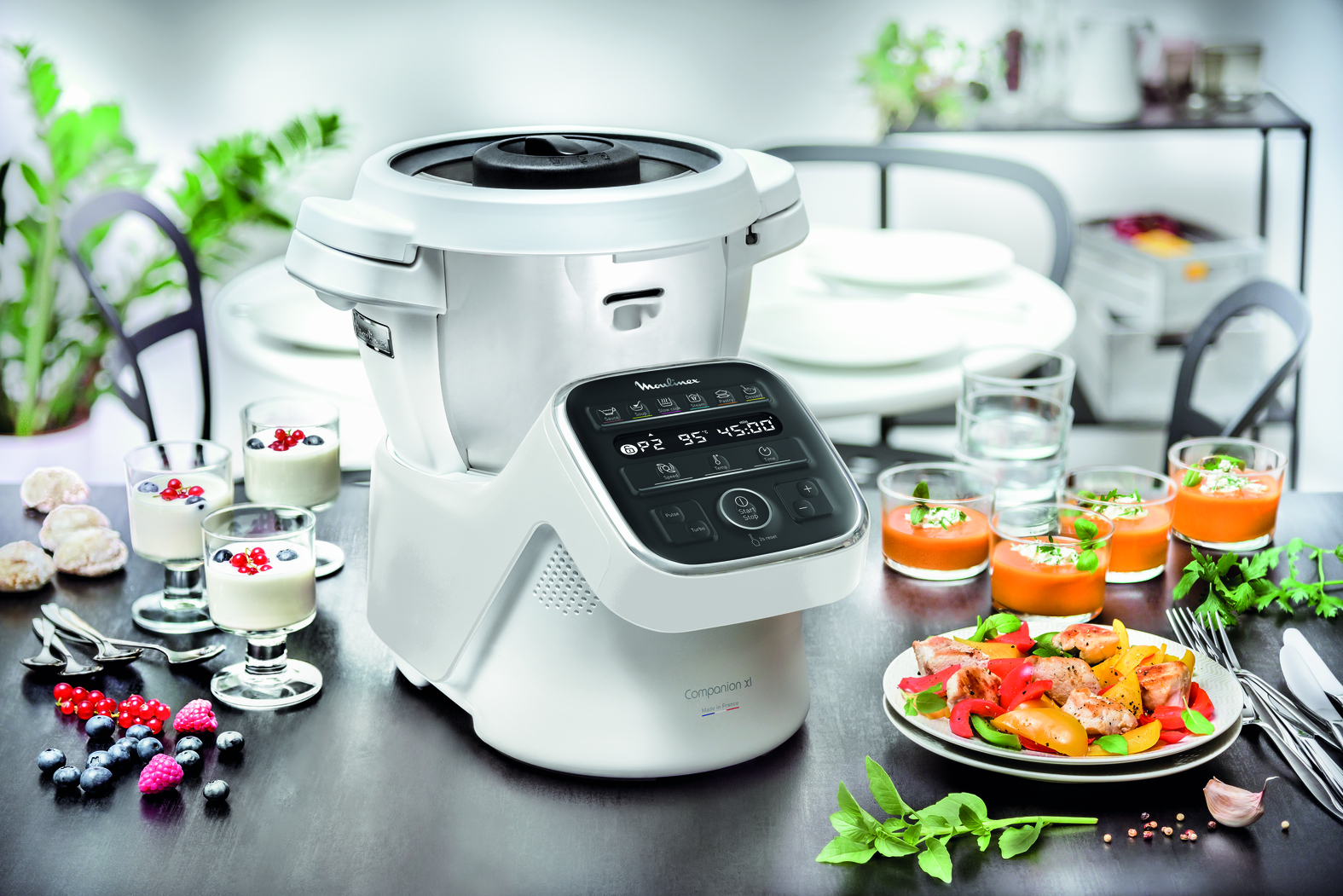 Moulinex companion XL Cuisine